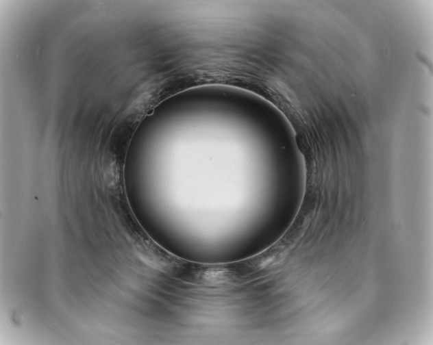 X0000094230173200710261303