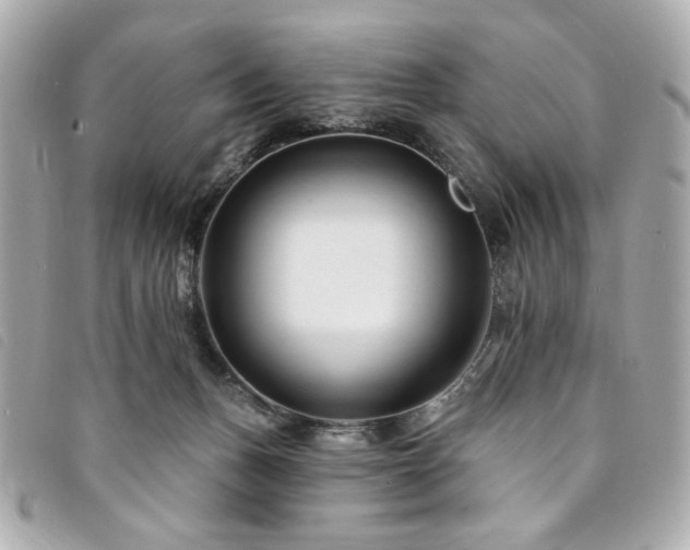 X0000094230175200710261303
