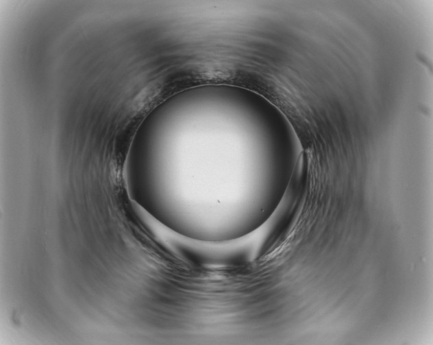X0000094230176200710261303