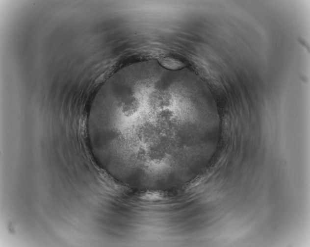 X0000094230177200710261303