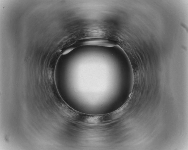 X0000094230178200710261303