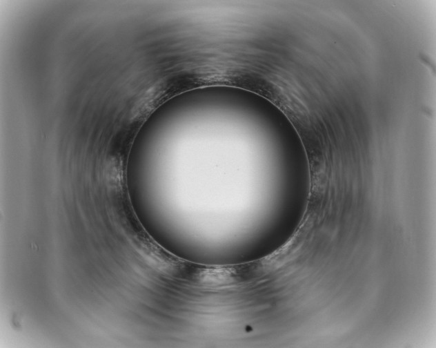 X0000094230179200710261303