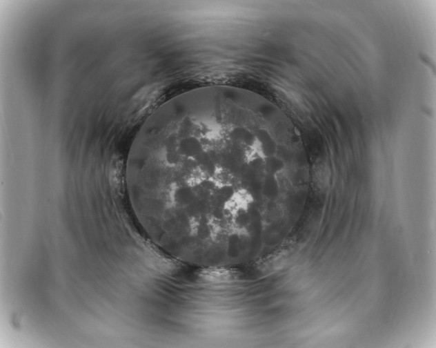 X0000094230181200710261303