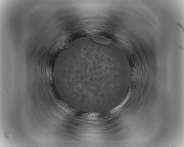 X0000094230182200710261303