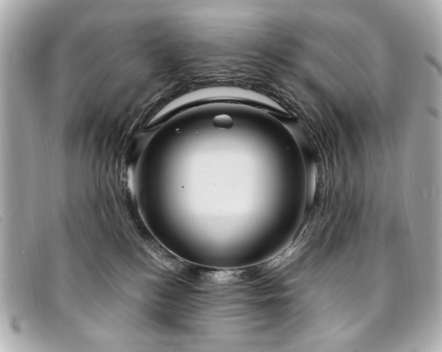 X0000094230184200710261303