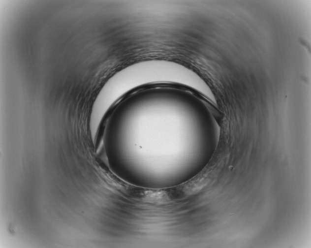 X0000094230185200710261303