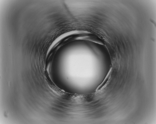 X0000094230186200710261303