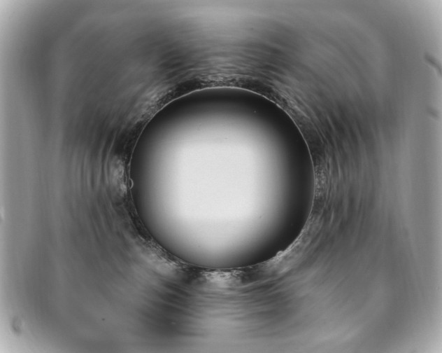 X0000094230187200710261303