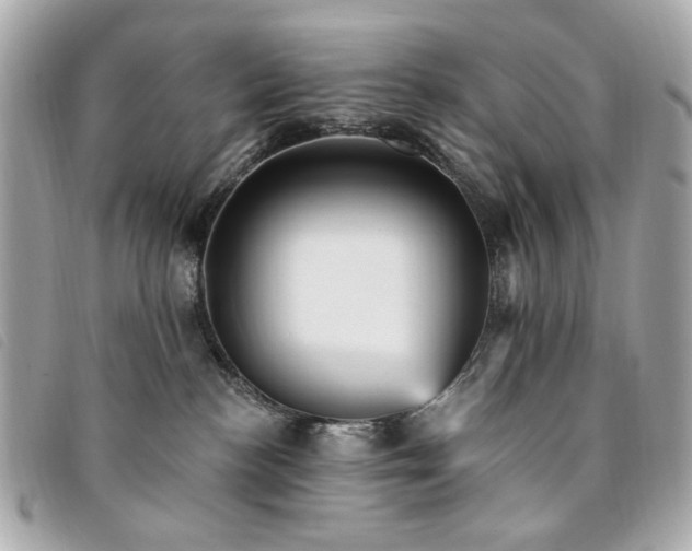 X0000094230188200710261303