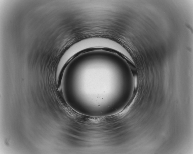 X0000094230190200710261303