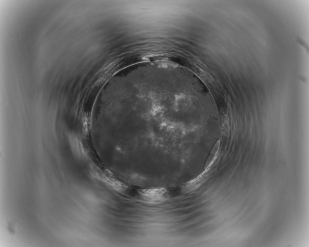 X0000094230191200710261303