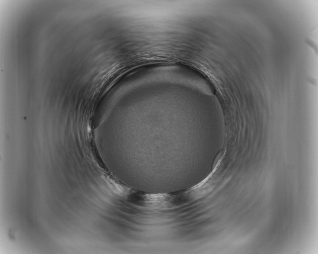 X0000094230192200710261303