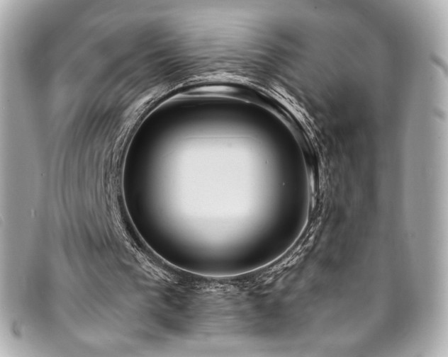 X0000094230193200710261302