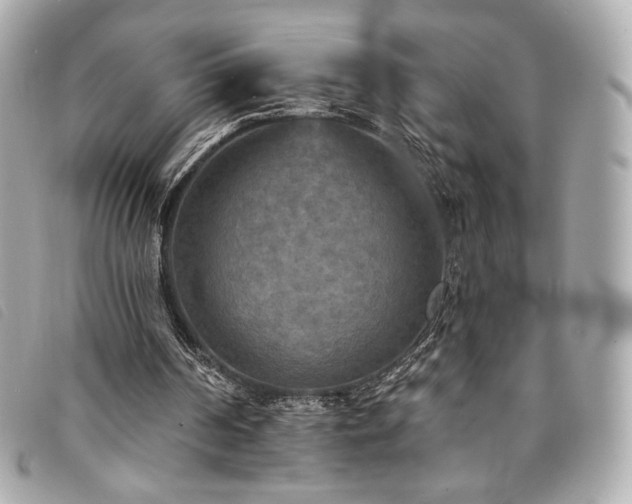 X0000094230194200710261302