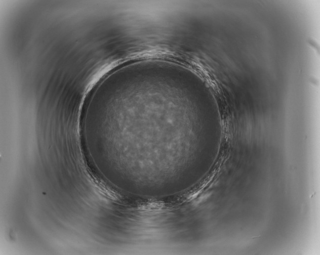 X0000094230196200710261302
