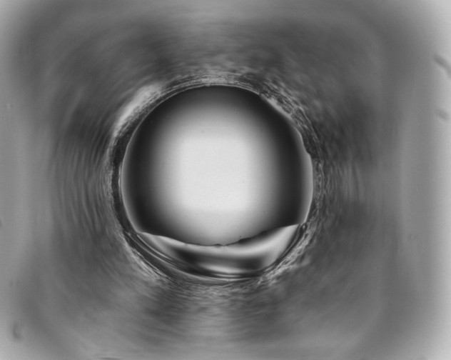X0000094230197200710261302