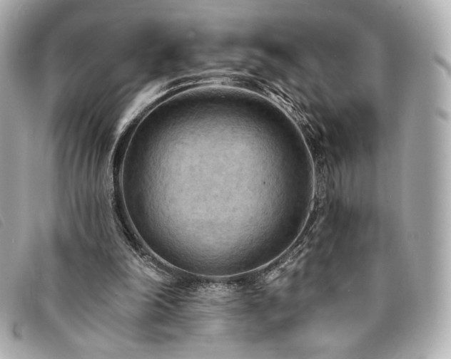 X0000094230198200710261302