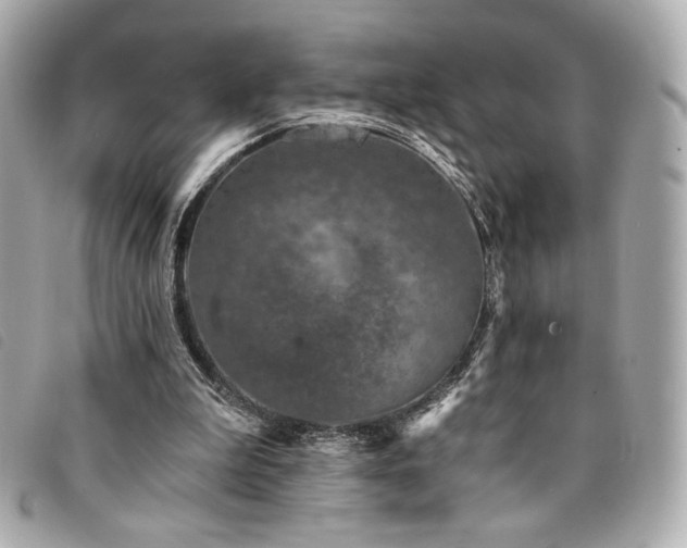 X0000094230199200710261302