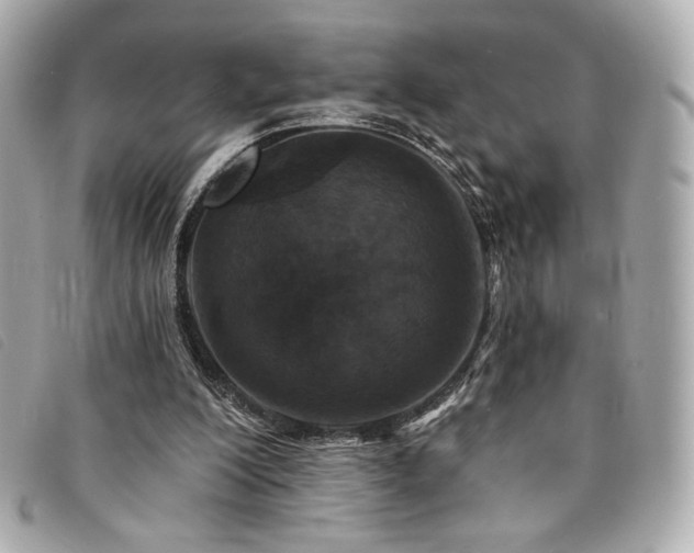 X0000094230200200710261302