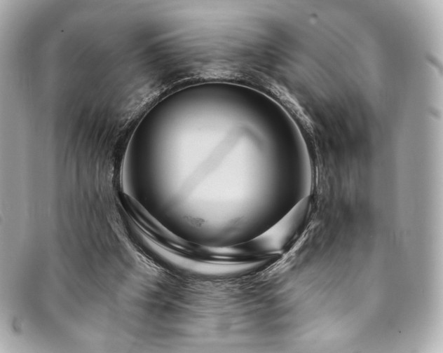 X0000094230201200710261302