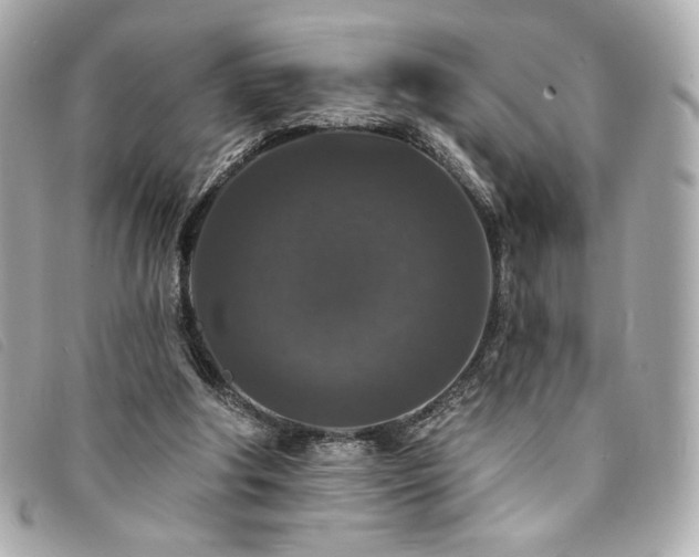 X0000094230202200710261302