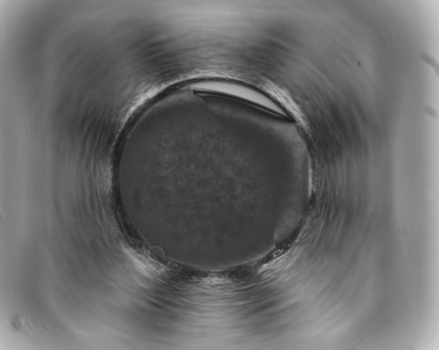 X0000094230204200710261302