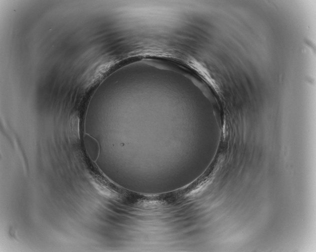 X0000094230205200710261302