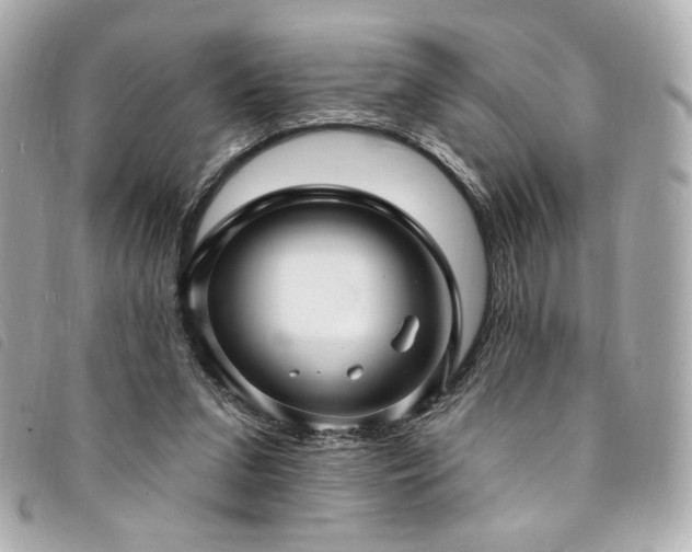 X0000094230207200710261302