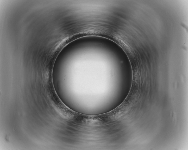 X0000094230208200710261302