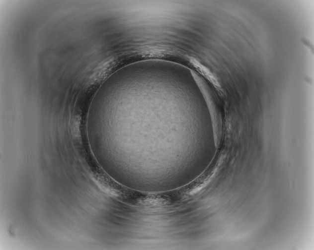 X0000094230209200710261302