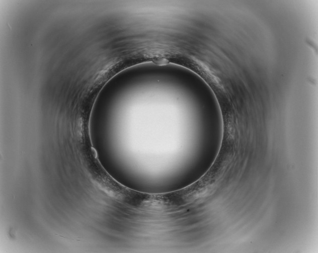 X0000094230211200710261302