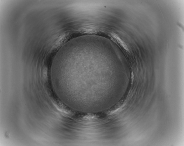 X0000094230213200710261302