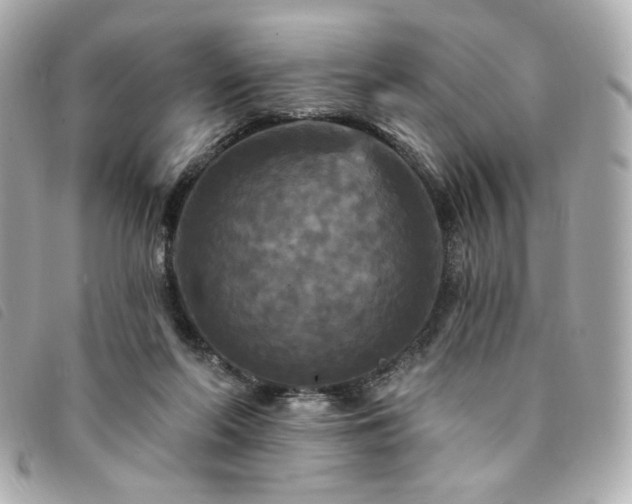 X0000094230214200710261302