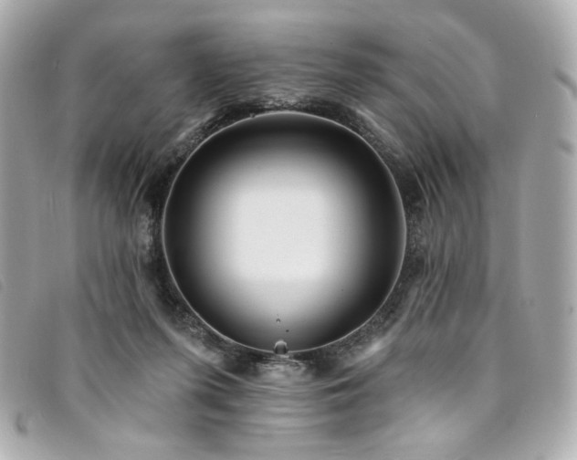 X0000094230215200710261302