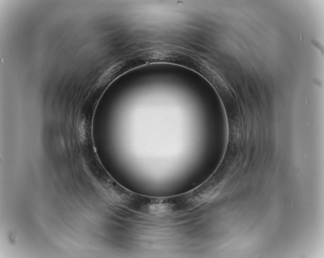 X0000094230216200710261302