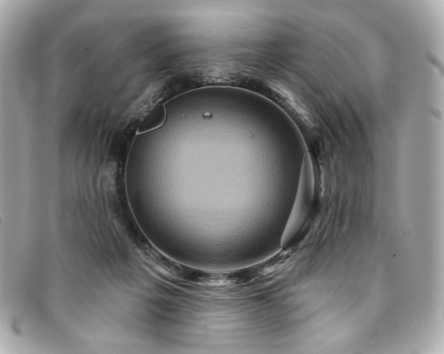 X0000094230217200710261302