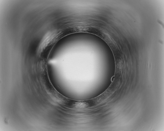 X0000094230218200710261302
