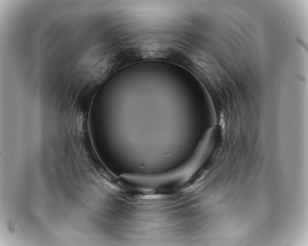 X0000094230219200710261302