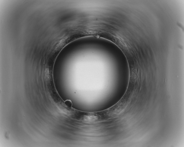X0000094230220200710261302