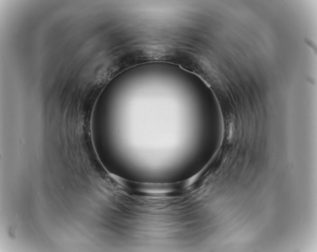 X0000094230221200710261302