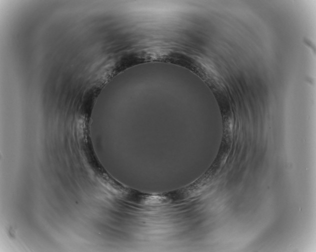 X0000094230222200710261302
