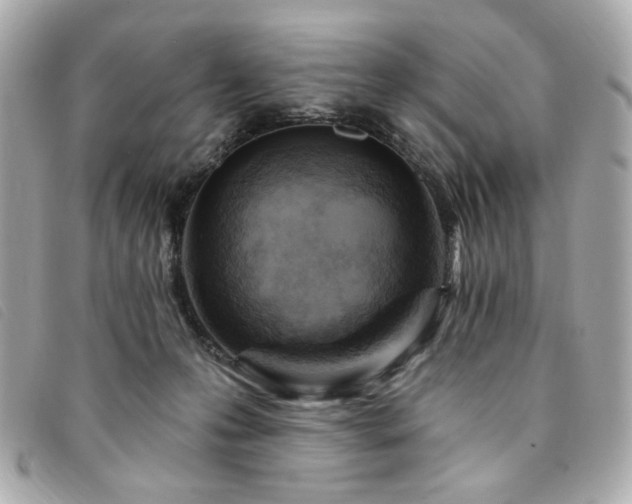 X0000094230223200710261302