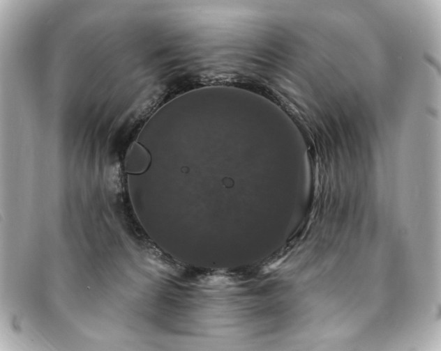 X0000094230224200710261302