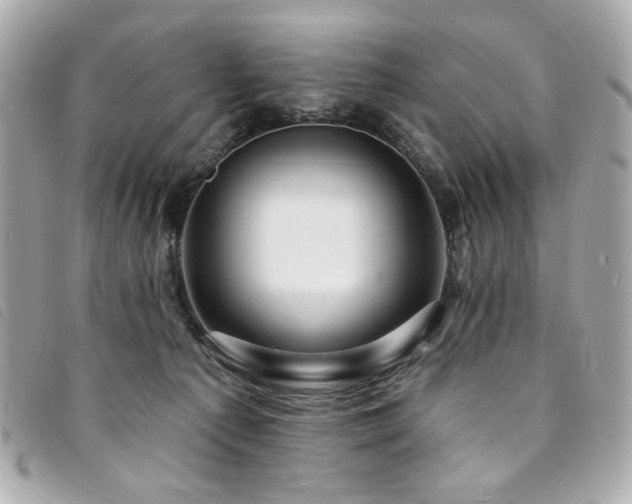 X0000094230225200710261302