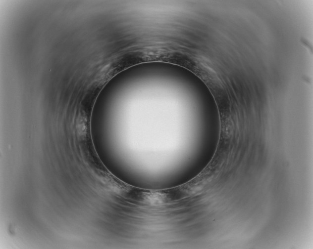 X0000094230226200710261302