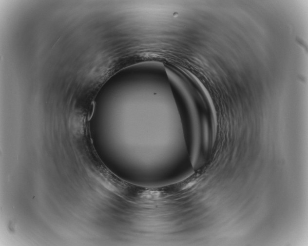 X0000094230227200710261302