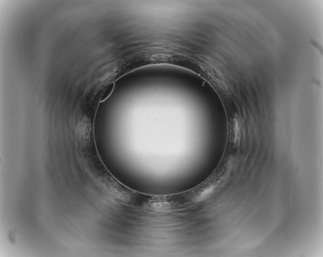 X0000094230228200710261302