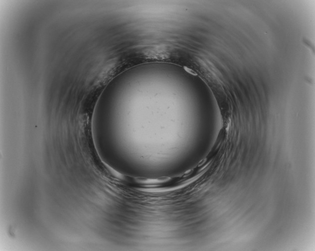 X0000094230229200710261302