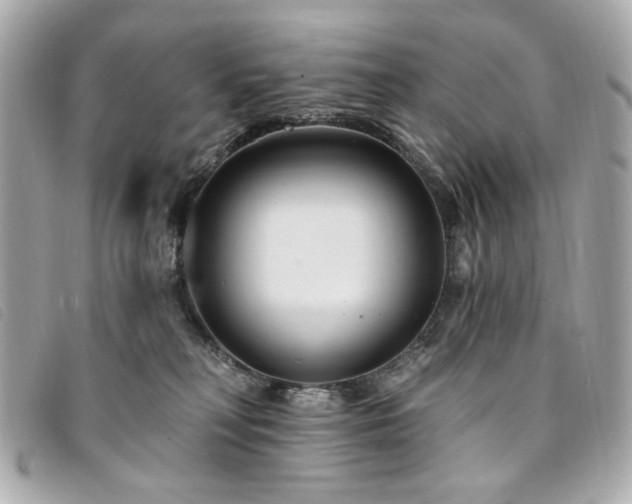 X0000094230230200710261302