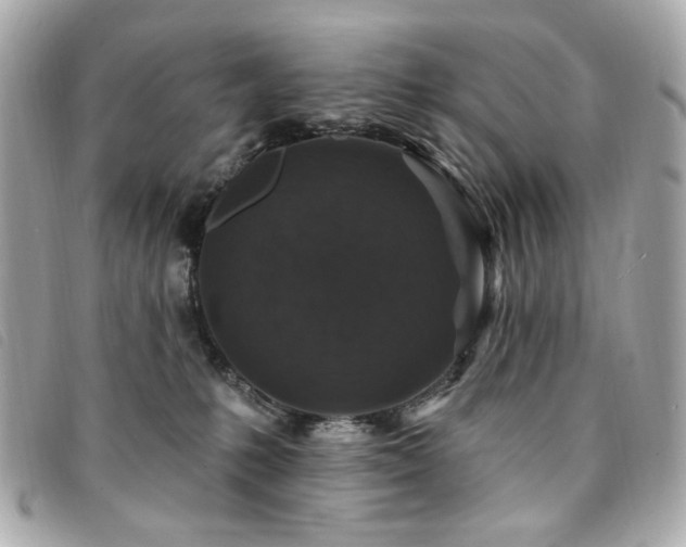X0000094230231200710261302